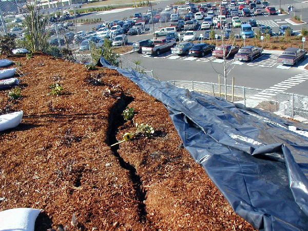 Costco MSE Wall - detail