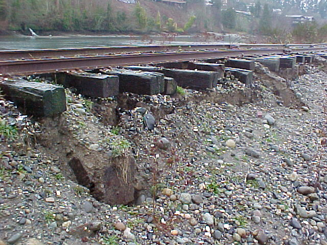 Railroad Embankment North of 4th Ave., Olympia - detail