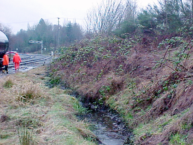 Earth Embankment, Olympia - detail