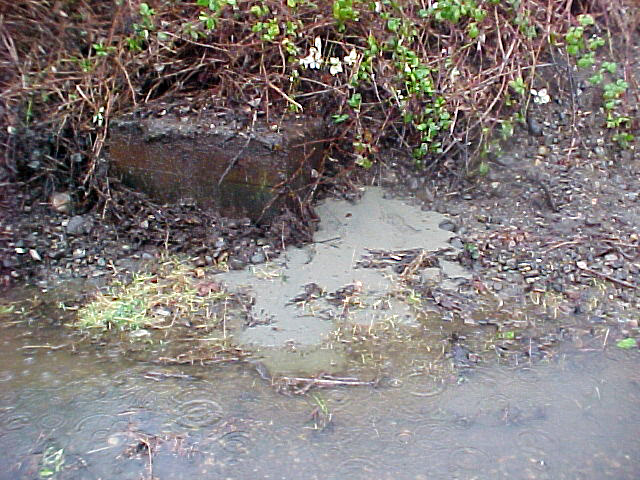 Earth Embankment, Olympia - detail