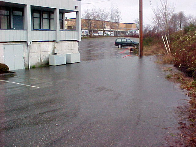 Earth Embankment, Olympia - detail