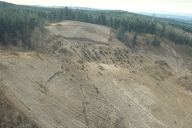 image of the slide located 0.5 mile south of Highway 99